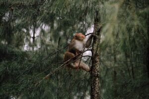 Image healthy option.co.uk 1576 1746688298813